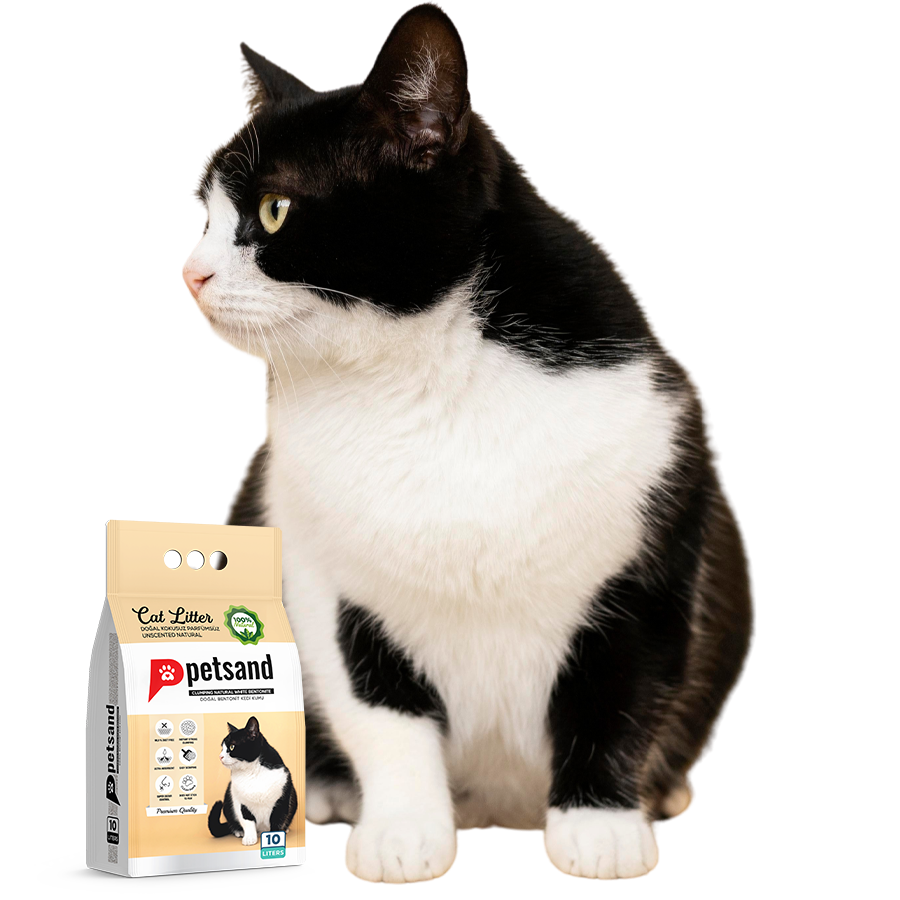 Chat noir et blanc assis sur fond blanc, illustrant le confort et la propreté au quotidien avec la litière agglomérante naturelle sans parfum pour chat Petsand