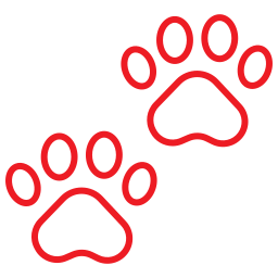 Icon - pattes de chat